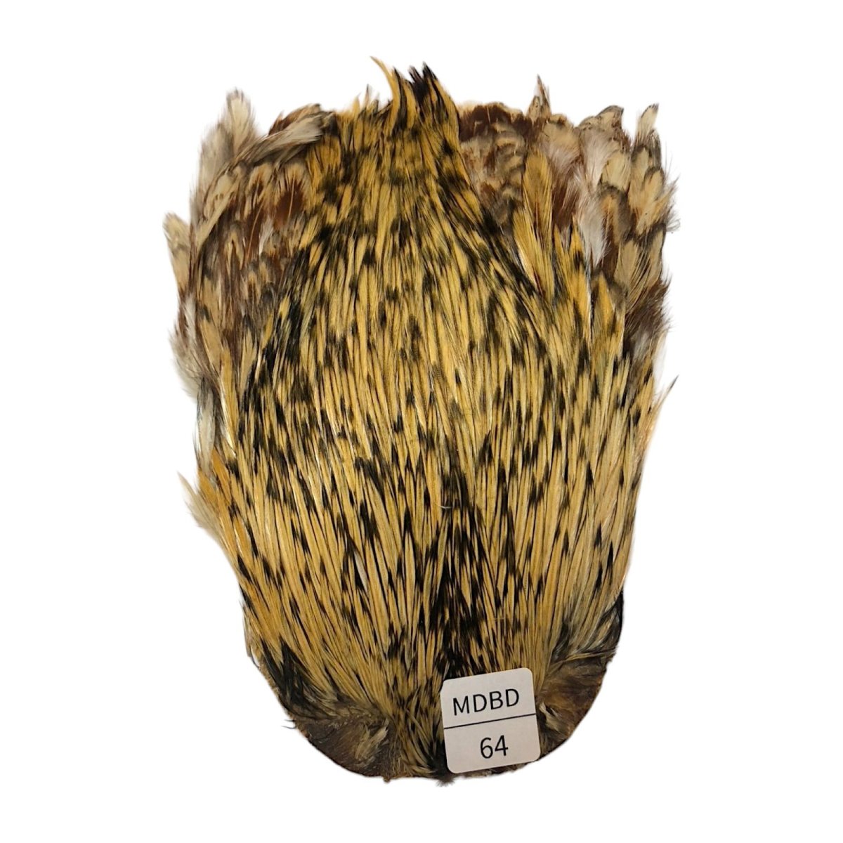 画像1: インドコックケープ India Cock Neck Cape　　ミディアムバジャー　NO64 (1)