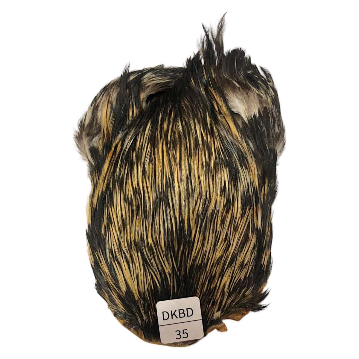画像1: インドコックケープ India Cock Neck Cape　　ダークバジャー　NO35 (1)
