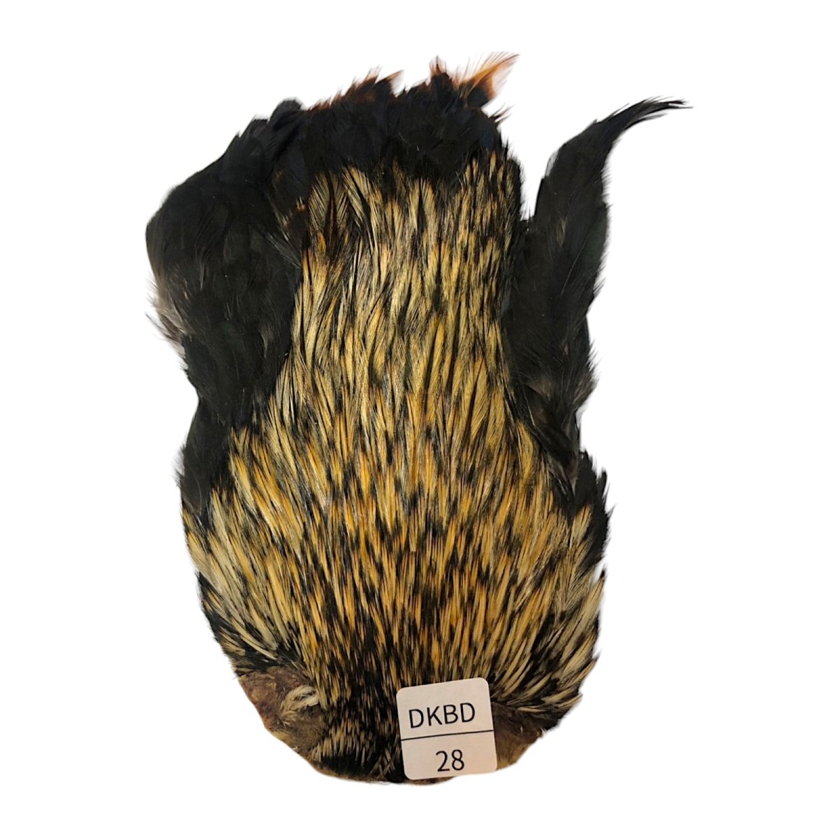 画像1: インドコックケープ India Cock Neck Cape　　ダークバジャー　NO28 (1)