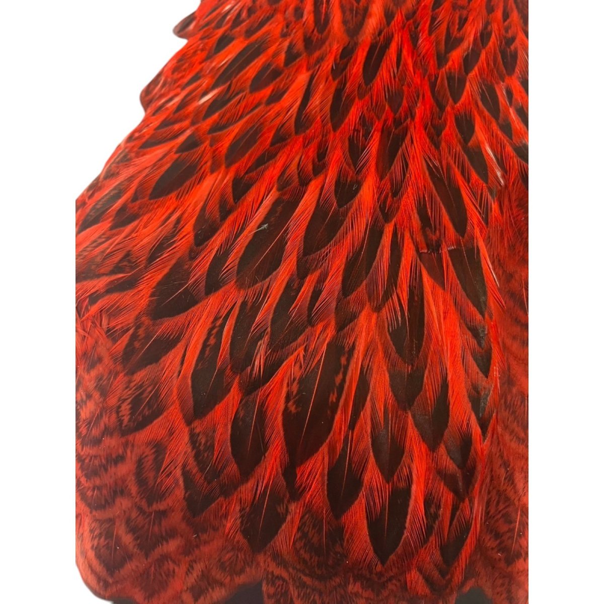 画像2:  FutureFly Freshwater Hen Capes  F5  Red  フューチャーフライ (2)