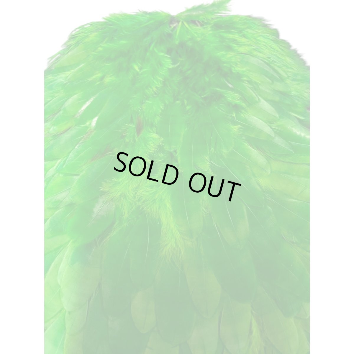 画像3:  FutureFly　Soft Hackle  F7　 Green　フューチャーフライ (3)