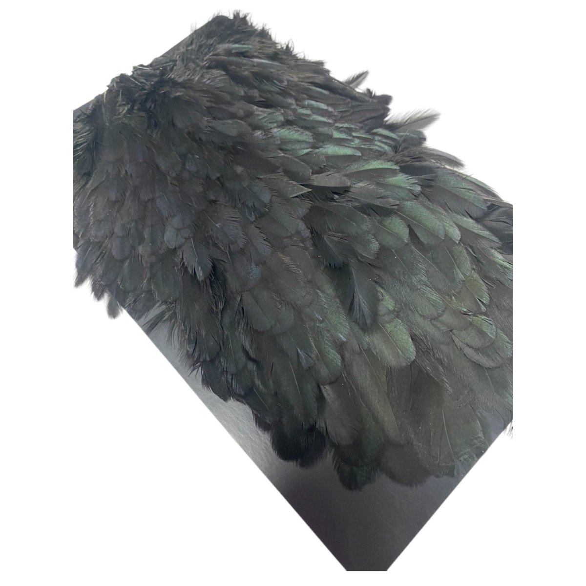 画像5:  FutureFly Soft Hackle  F8 Black フューチャーフライ (5)