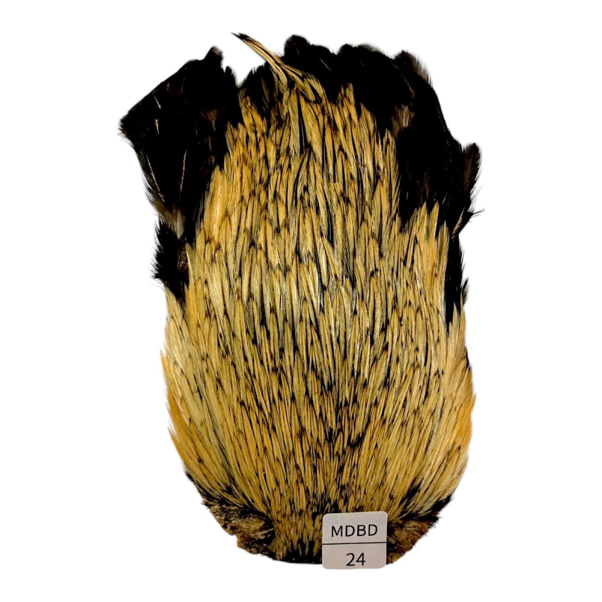 画像1: インドコックケープ India Cock Neck Cape　　ミディアムバジャー　NO24 (1)