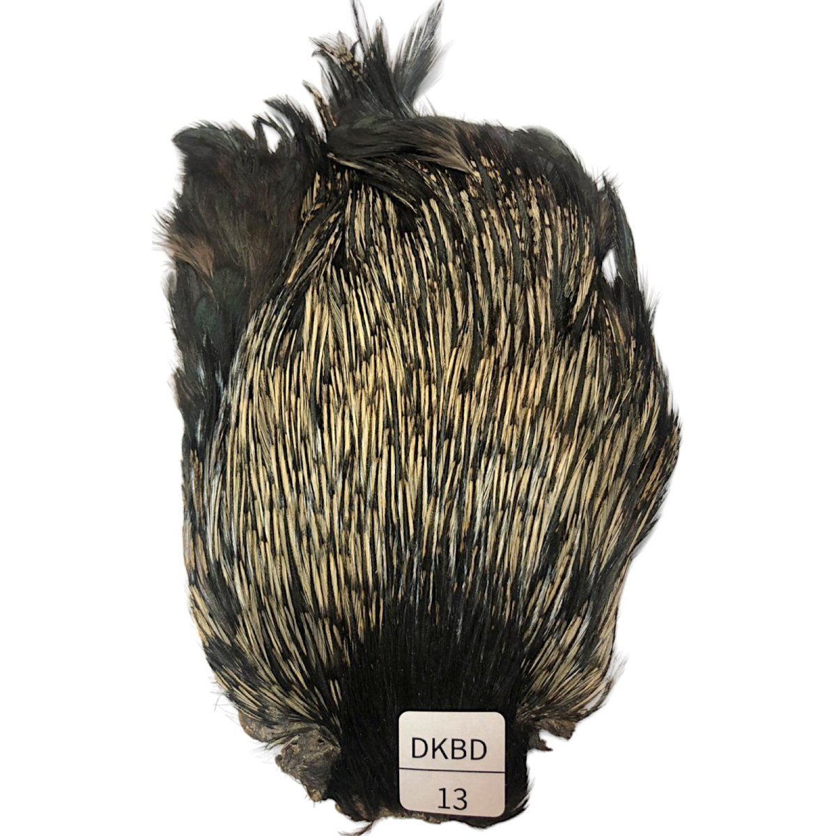 画像1: インドコックケープ India Cock Neck Cape　　ダークバジャー　NO13 (1)