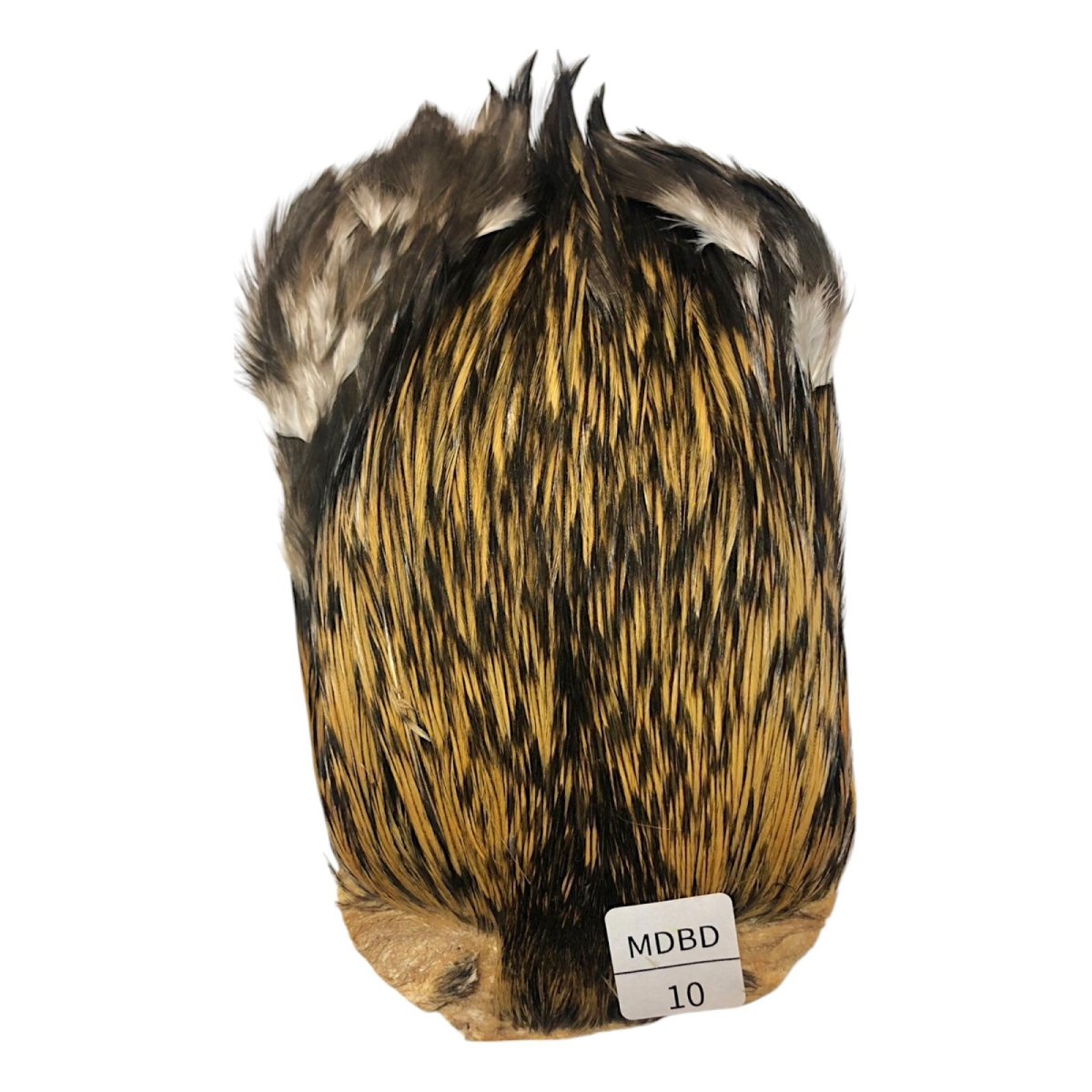 画像1: インドコックケープ India Cock Neck Cape　　ミディアムバジャー　NO10 (1)