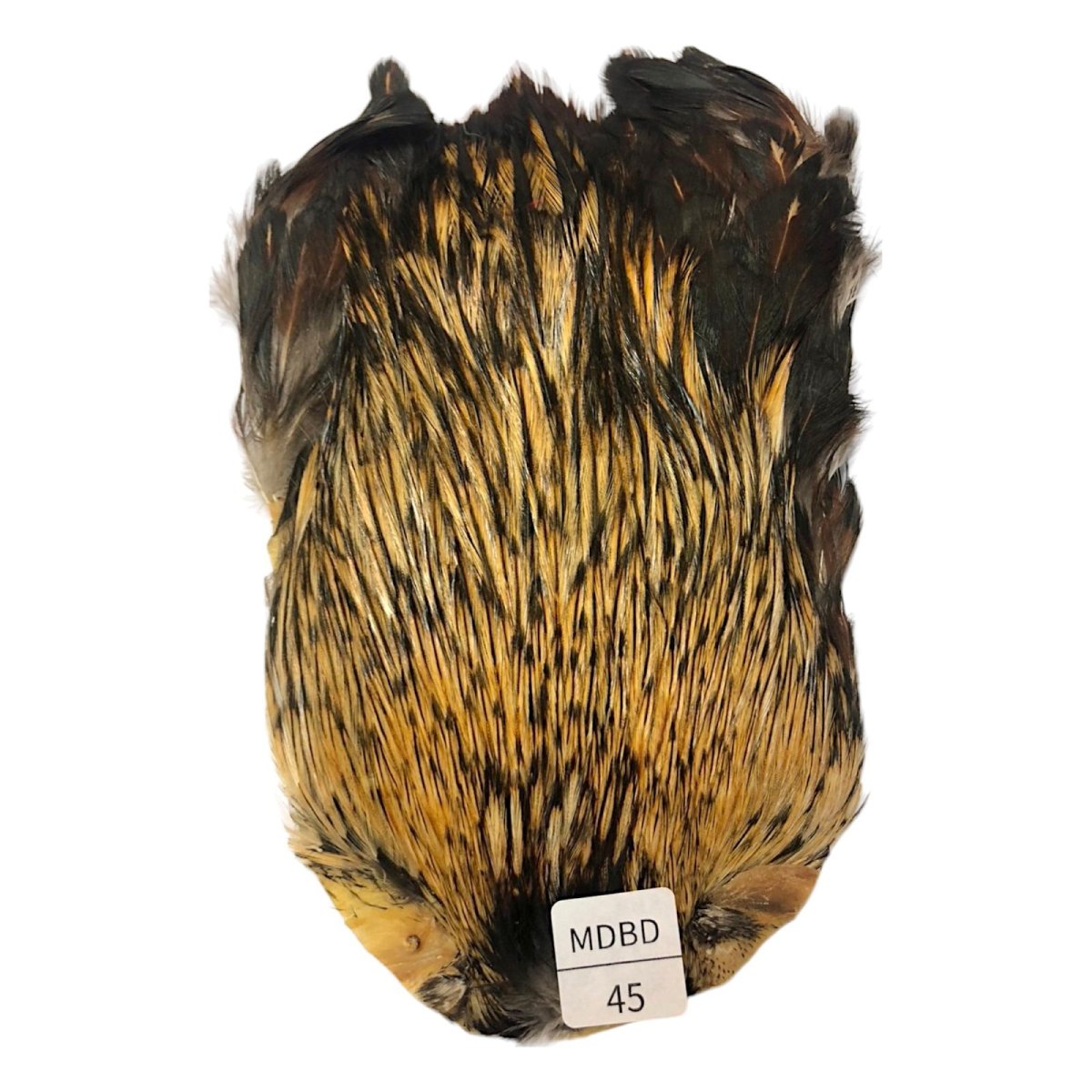 画像1: インドコックケープ India Cock Neck Cape　　ミディアムバジャー　NO45 (1)
