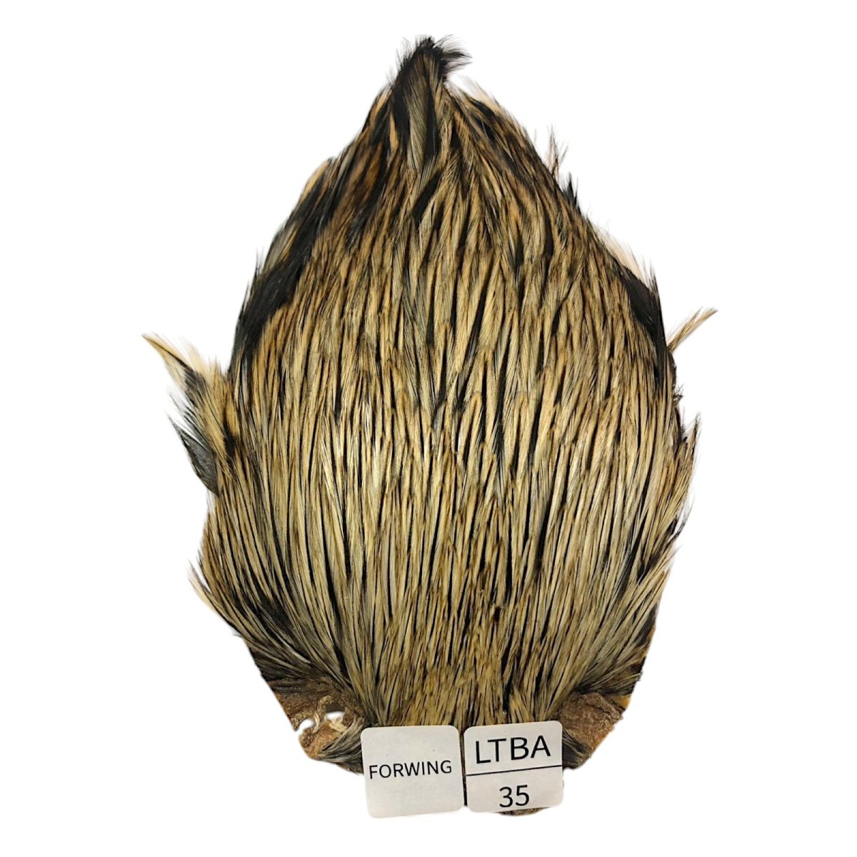 画像1: For Wing　インドコックケープ India Cock Neck Cape　　ライトバジャー　NO35 (1)