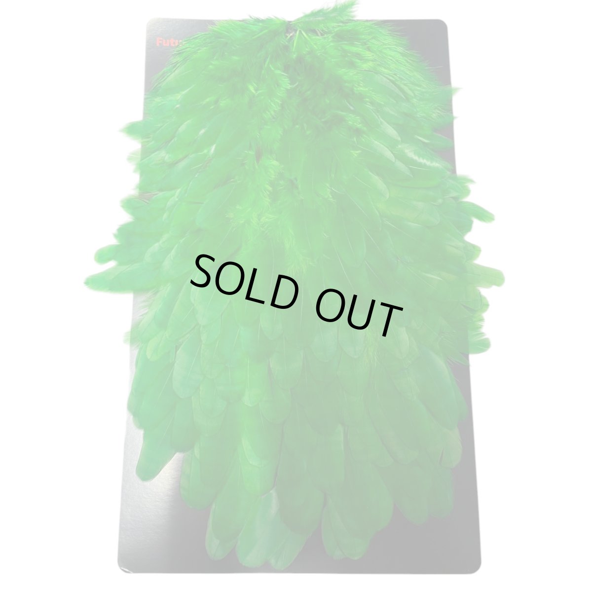 画像1:  FutureFly　Soft Hackle  F7　 Green　フューチャーフライ (1)