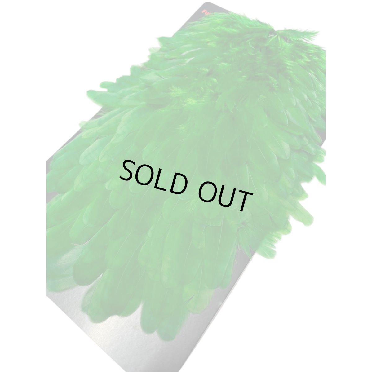 画像4:  FutureFly　Soft Hackle  F7　 Green　フューチャーフライ (4)