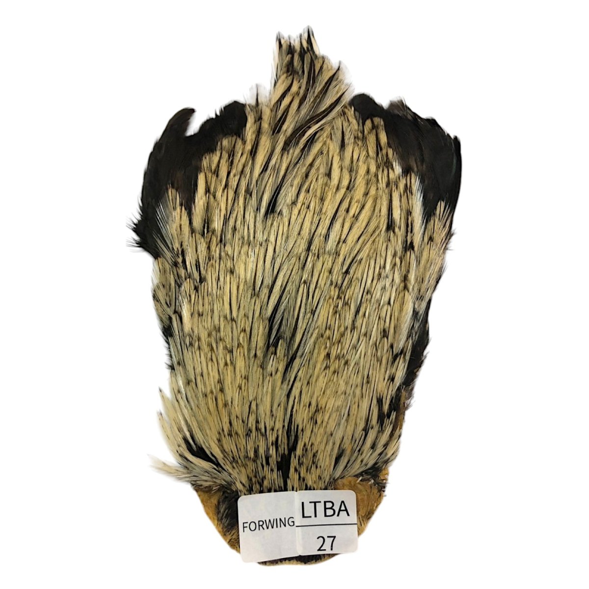 画像1: For Wing　インドコックケープ India Cock Neck Cape　　ライトバジャー　NO27 (1)