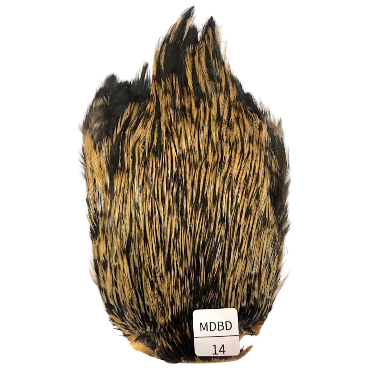 画像1: インドコックケープ India Cock Neck Cape　　ミディアムバジャー　NO14 (1)