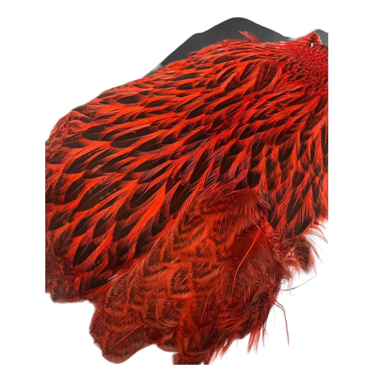 画像4:  FutureFly Freshwater Hen Capes  F5  Red  フューチャーフライ (4)