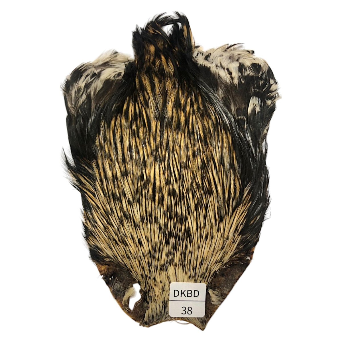 画像1: インドコックケープ India Cock Neck Cape　　ダークバジャー　NO38 (1)