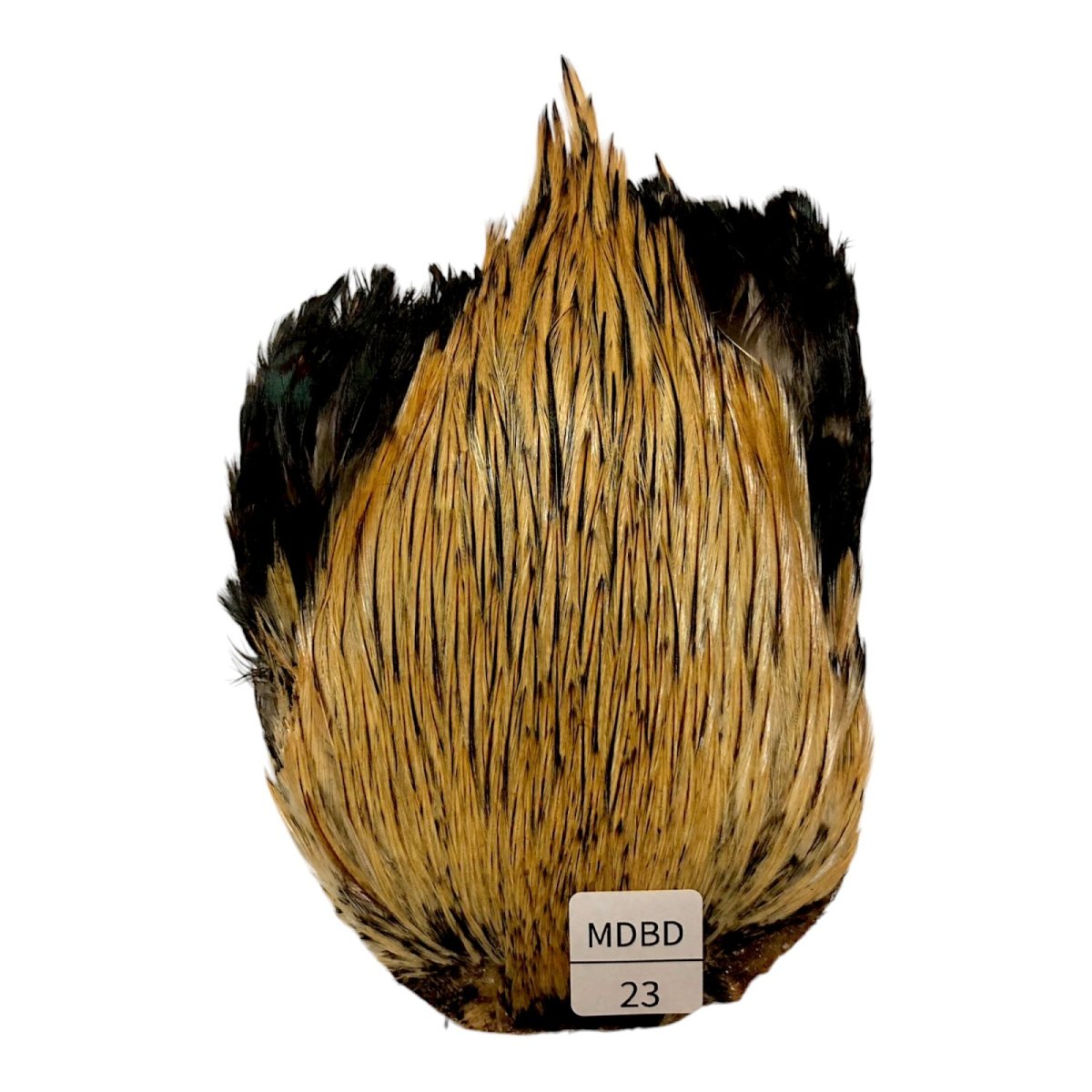 画像1: インドコックケープ India Cock Neck Cape　　ミディアムバジャー　NO23 (1)