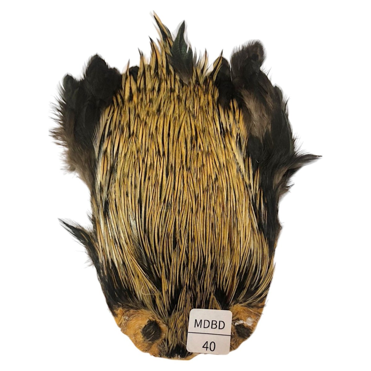 画像1: インドコックケープ India Cock Neck Cape　　ミディアムバジャー　NO40 (1)