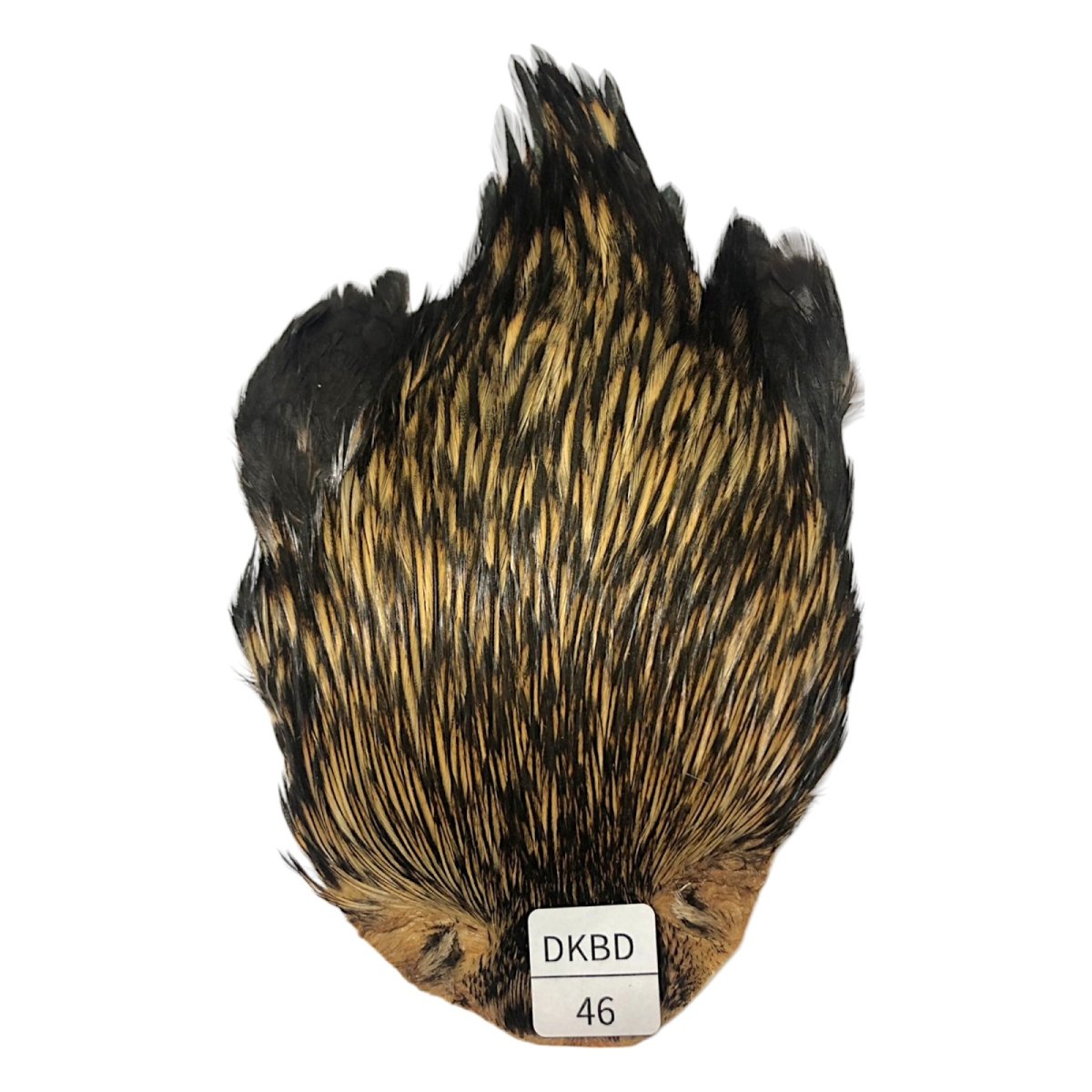 画像1: インドコックケープ India Cock Neck Cape　　ダークバジャー　NO46 (1)