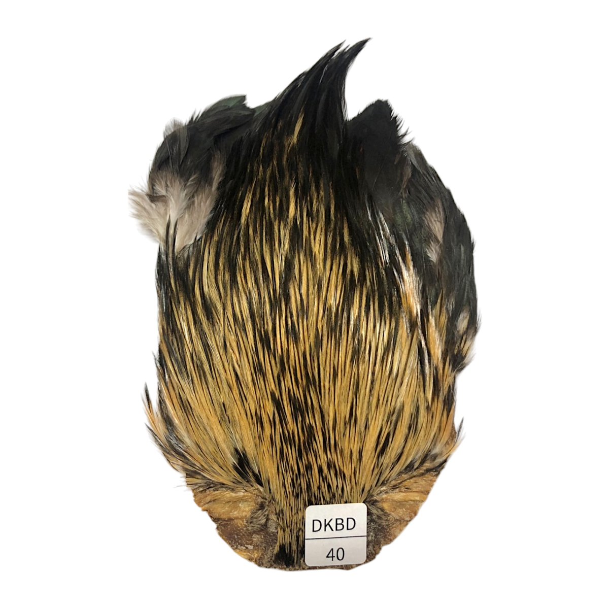 画像1: インドコックケープ India Cock Neck Cape　　ダークバジャー　NO40 (1)