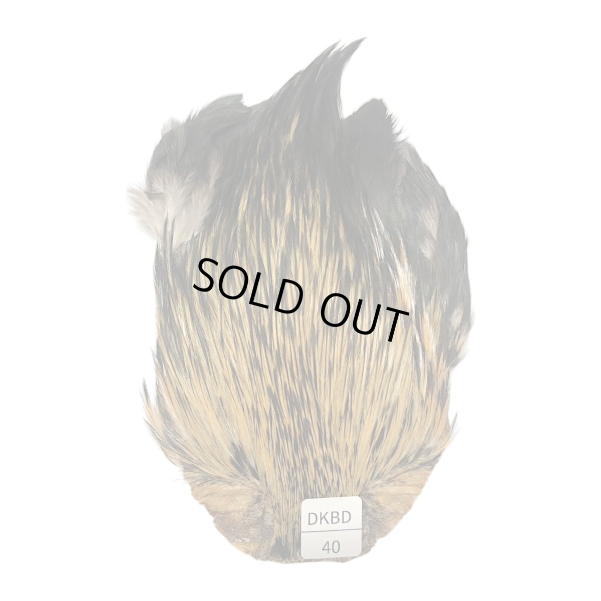 画像1: インドコックケープ India Cock Neck Cape　　ダークバジャー　NO40 (1)