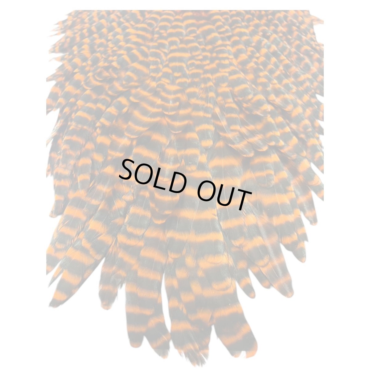 画像2:  FutureFly　Signature Hen Saddle　F4　 Orange　Grizzly　フューチャーフライ (2)