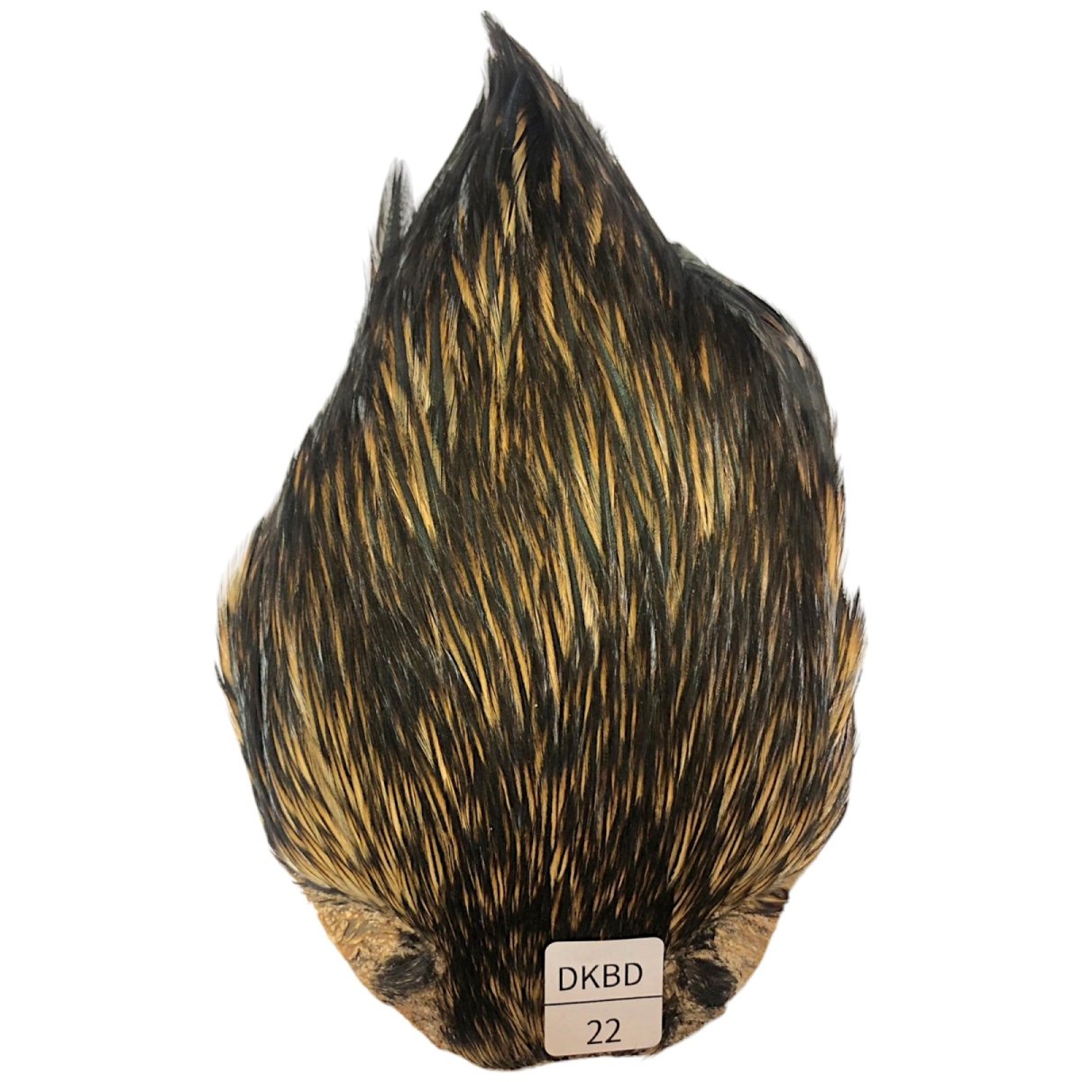 画像1: インドコックケープ India Cock Neck Cape　　ダークバジャー　NO22 (1)