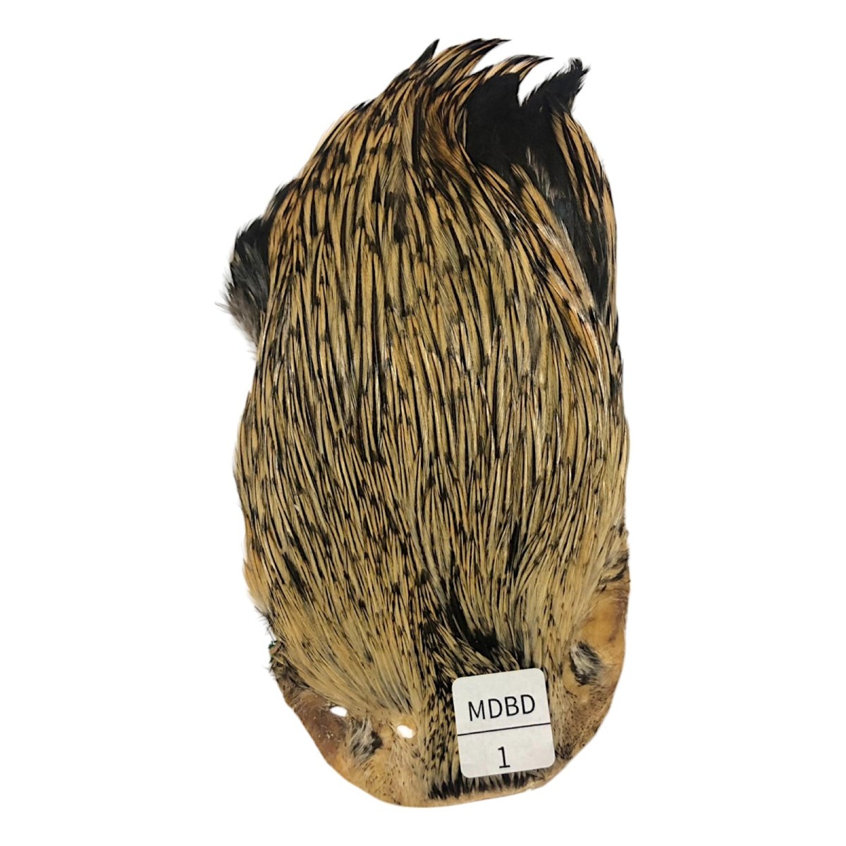 画像1: インドコックケープ India Cock Neck Cape　　ミディアムバジャー　NO01 (1)