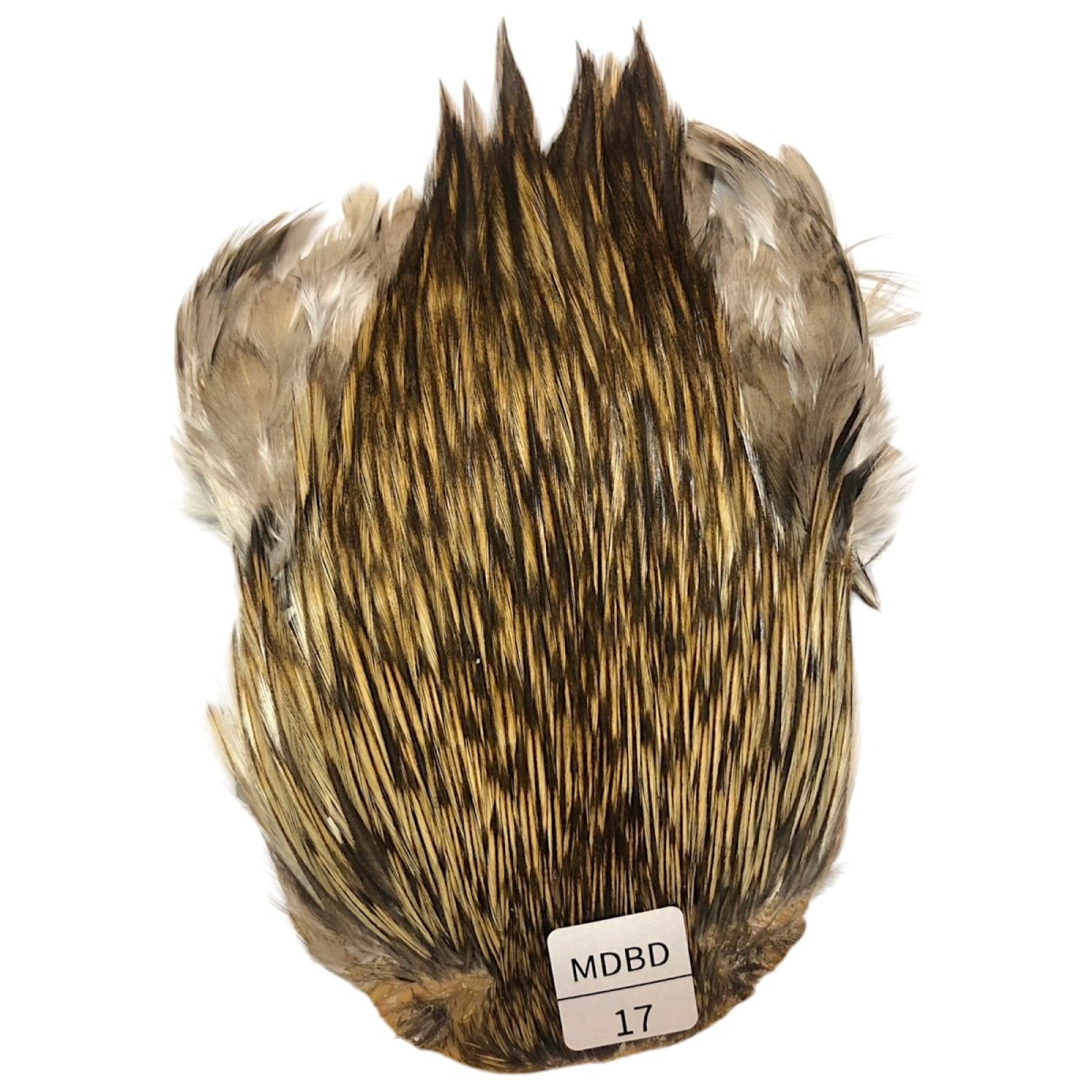 画像1: インドコックケープ India Cock Neck Cape　　ミディアムバジャー　NO17 (1)