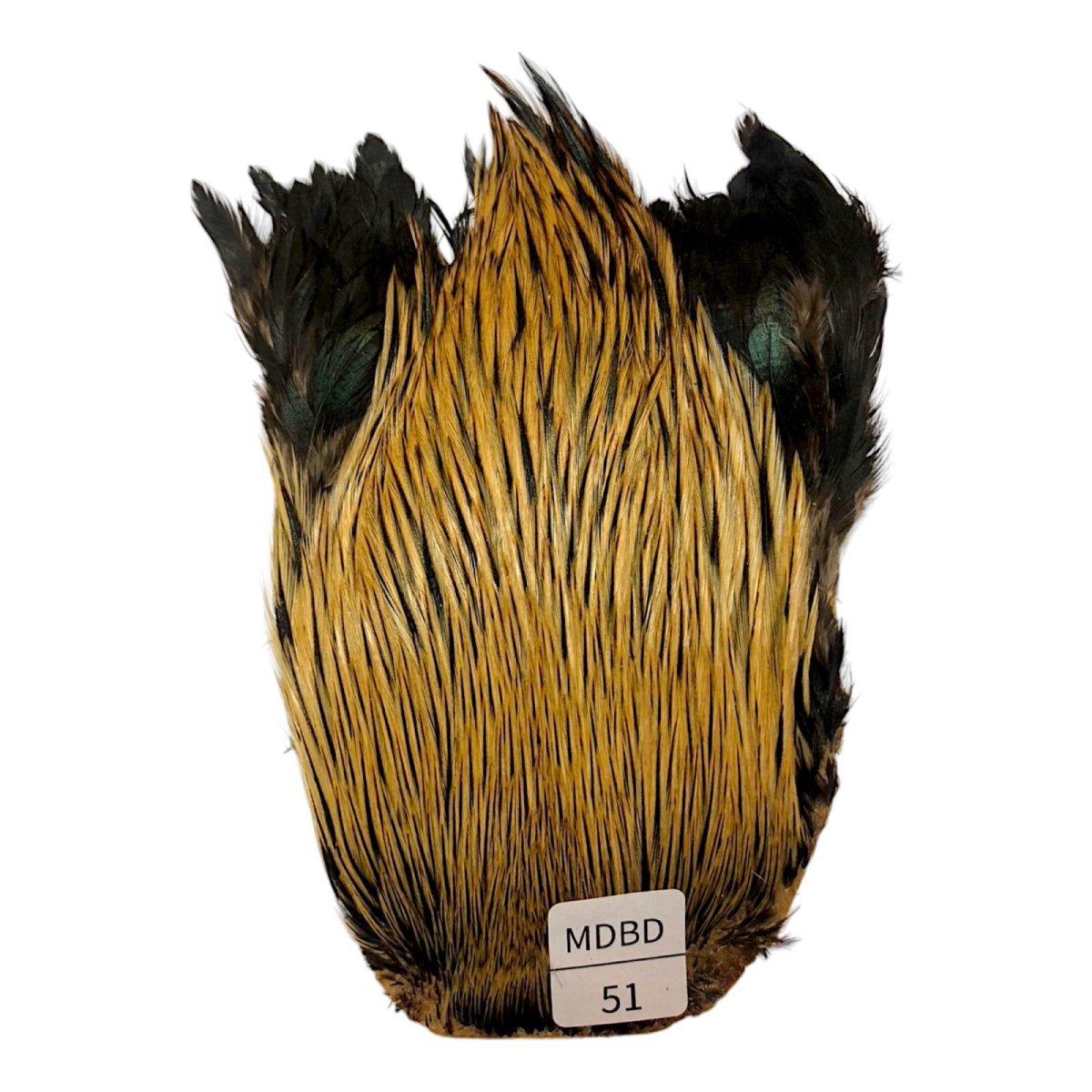 画像1: インドコックケープ India Cock Neck Cape　　ミディアムバジャー　NO51 (1)