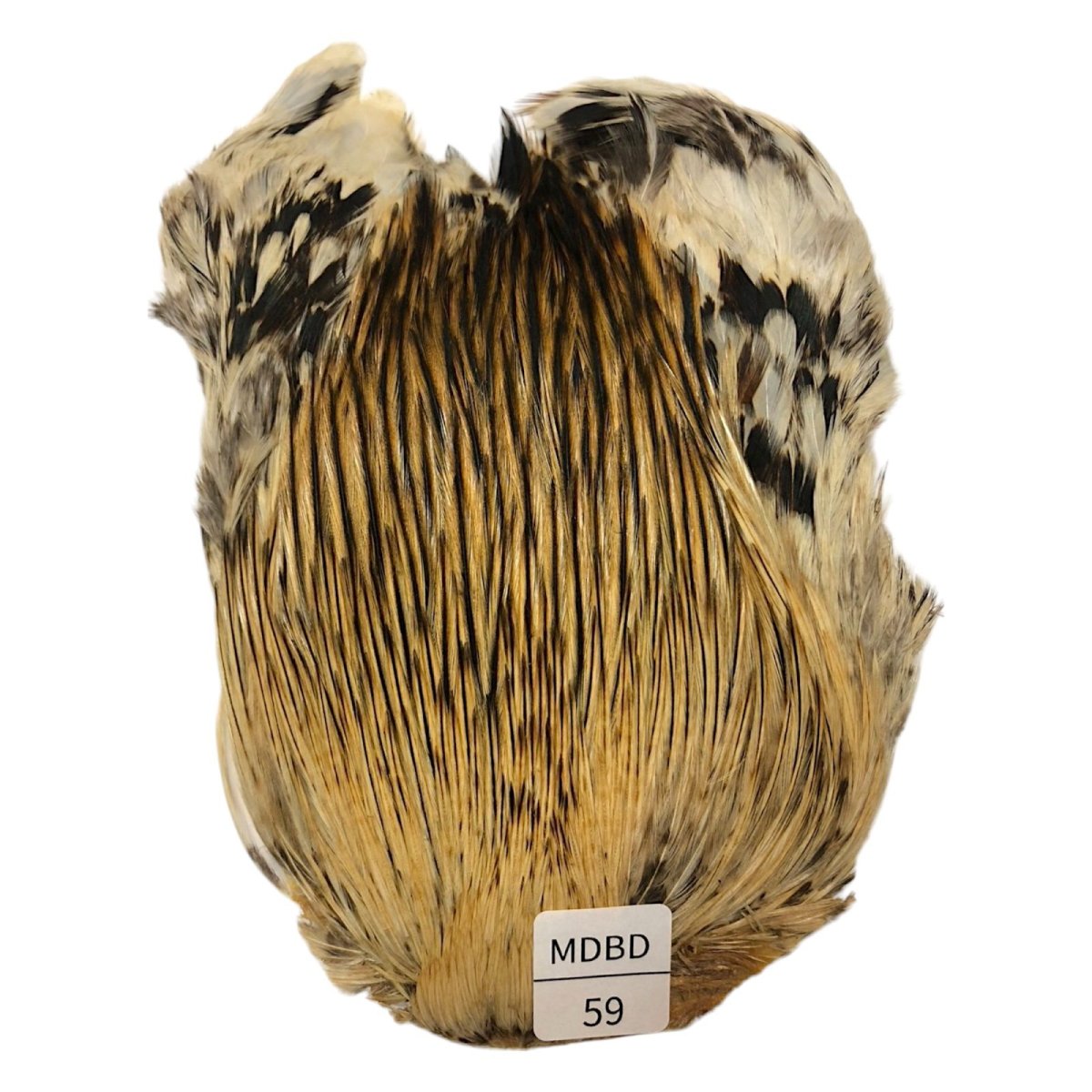 画像1: インドコックケープ India Cock Neck Cape　　ミディアムバジャー　NO59 (1)