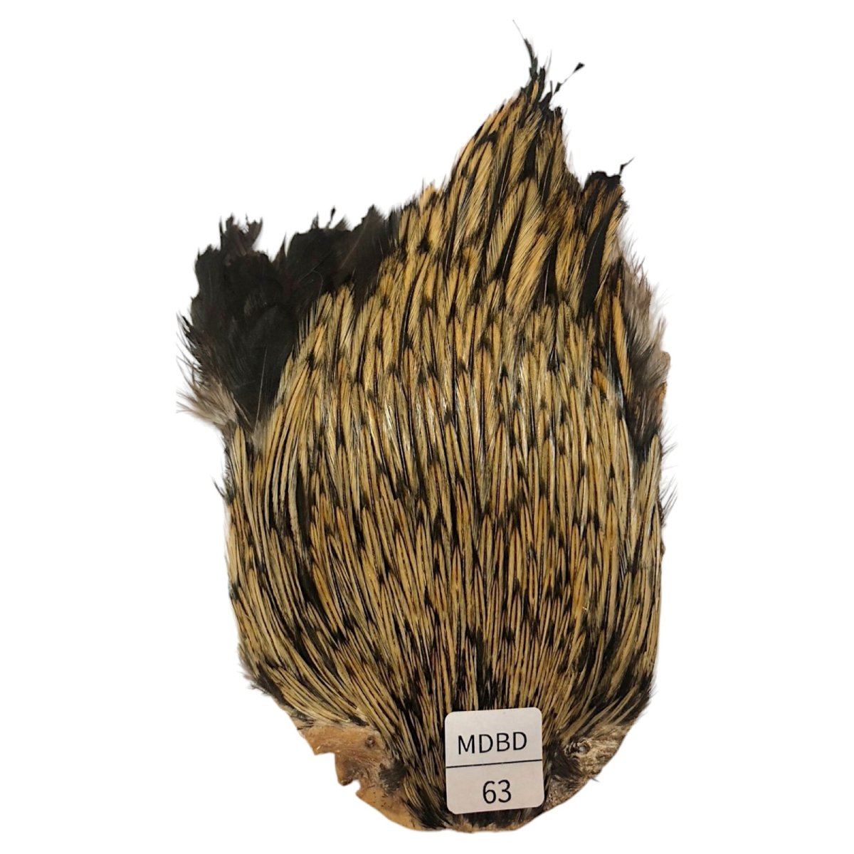 画像1: インドコックケープ India Cock Neck Cape　　ミディアムバジャー　NO63 (1)