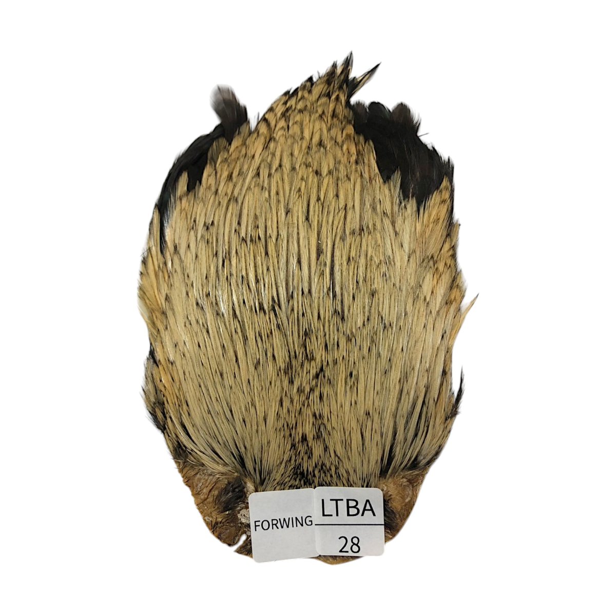 画像1: For Wing　インドコックケープ India Cock Neck Cape　　ライトバジャー　NO28 (1)