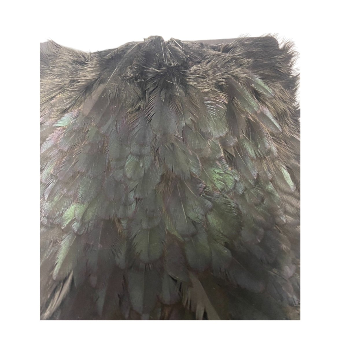 画像3:  FutureFly Soft Hackle  F8 Black フューチャーフライ (3)