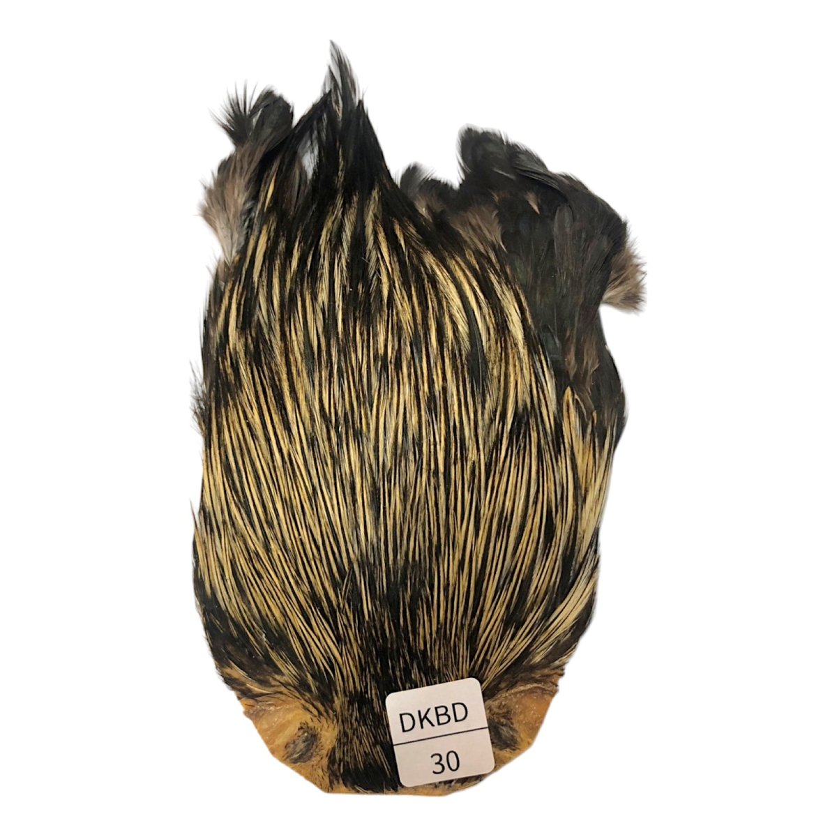画像1: インドコックケープ India Cock Neck Cape　　ダークバジャー　NO30 (1)