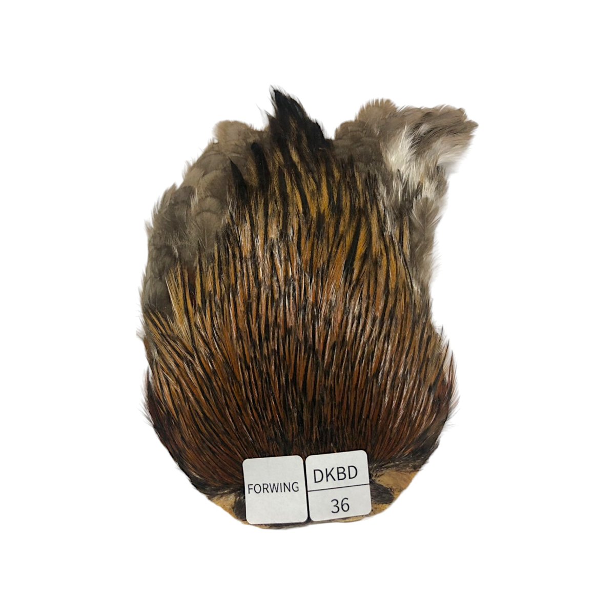 画像1: For Wing　インドコックケープ India Cock Neck Cape　　ダークバジャー　NO36 (1)
