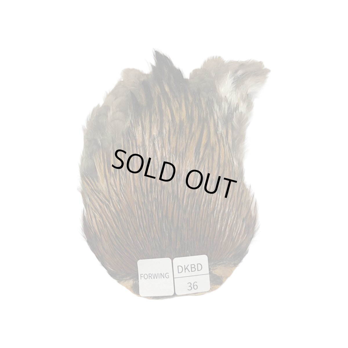 画像1: For Wing　インドコックケープ India Cock Neck Cape　　ダークバジャー　NO36 (1)