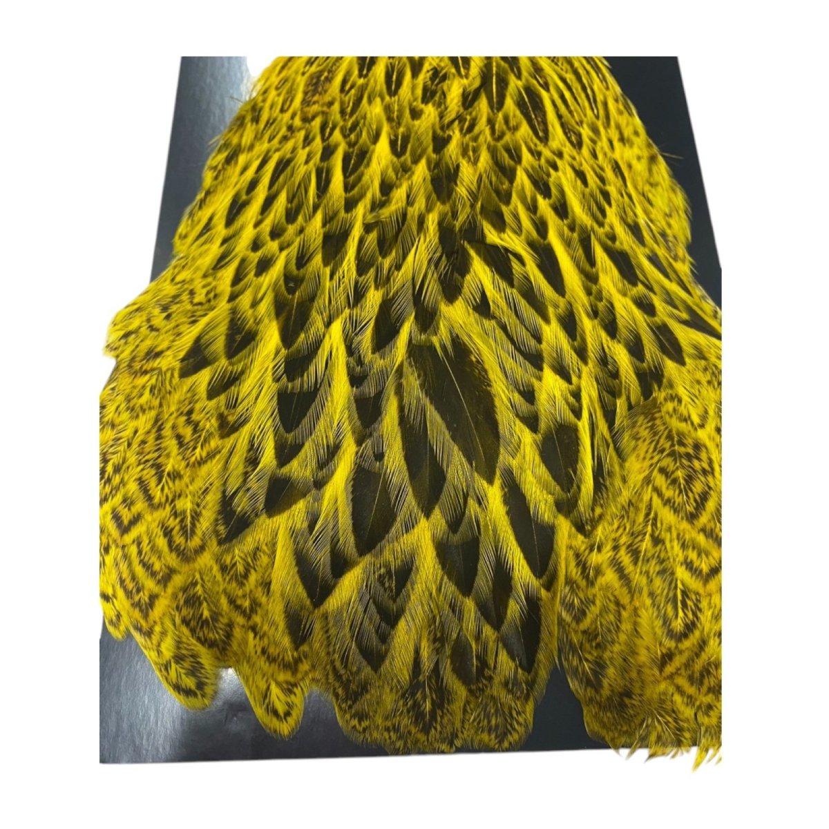 画像2:  FutureFly Freshwater Hen Capes  F6  Yellow  フューチャーフライ (2)