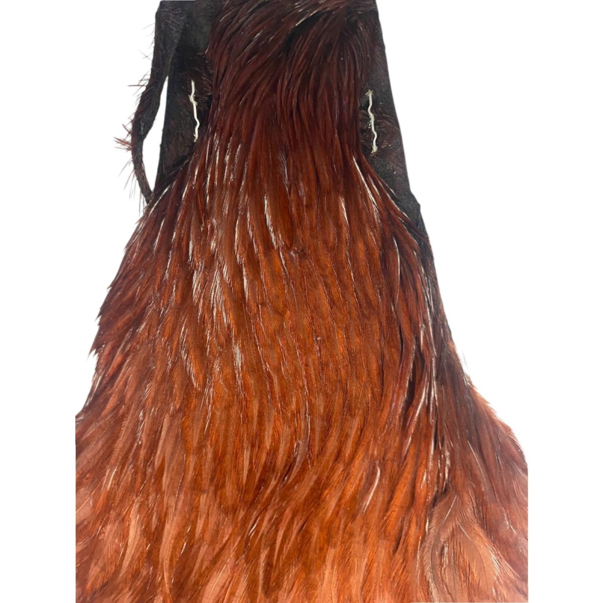 画像2: HARELINE ヘアライン ヘンケープ ブラウン (2)