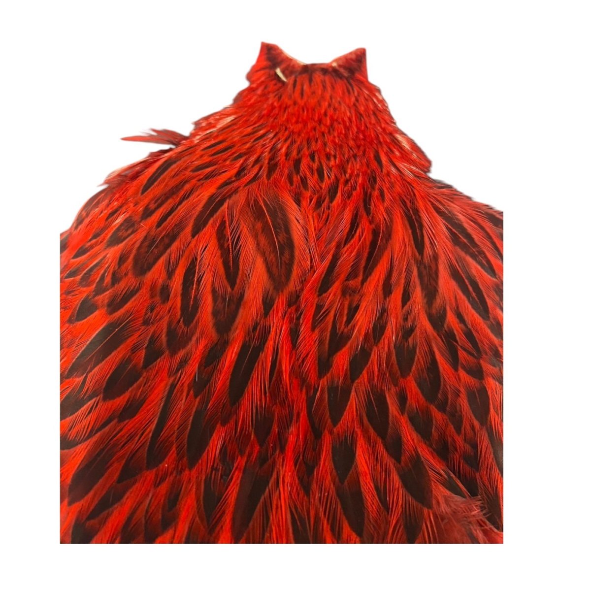 画像3:  FutureFly Freshwater Hen Capes  F5  Red  フューチャーフライ (3)