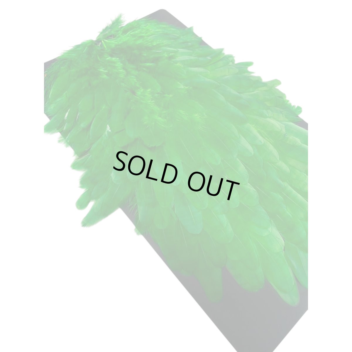 画像5:  FutureFly　Soft Hackle  F7　 Green　フューチャーフライ (5)