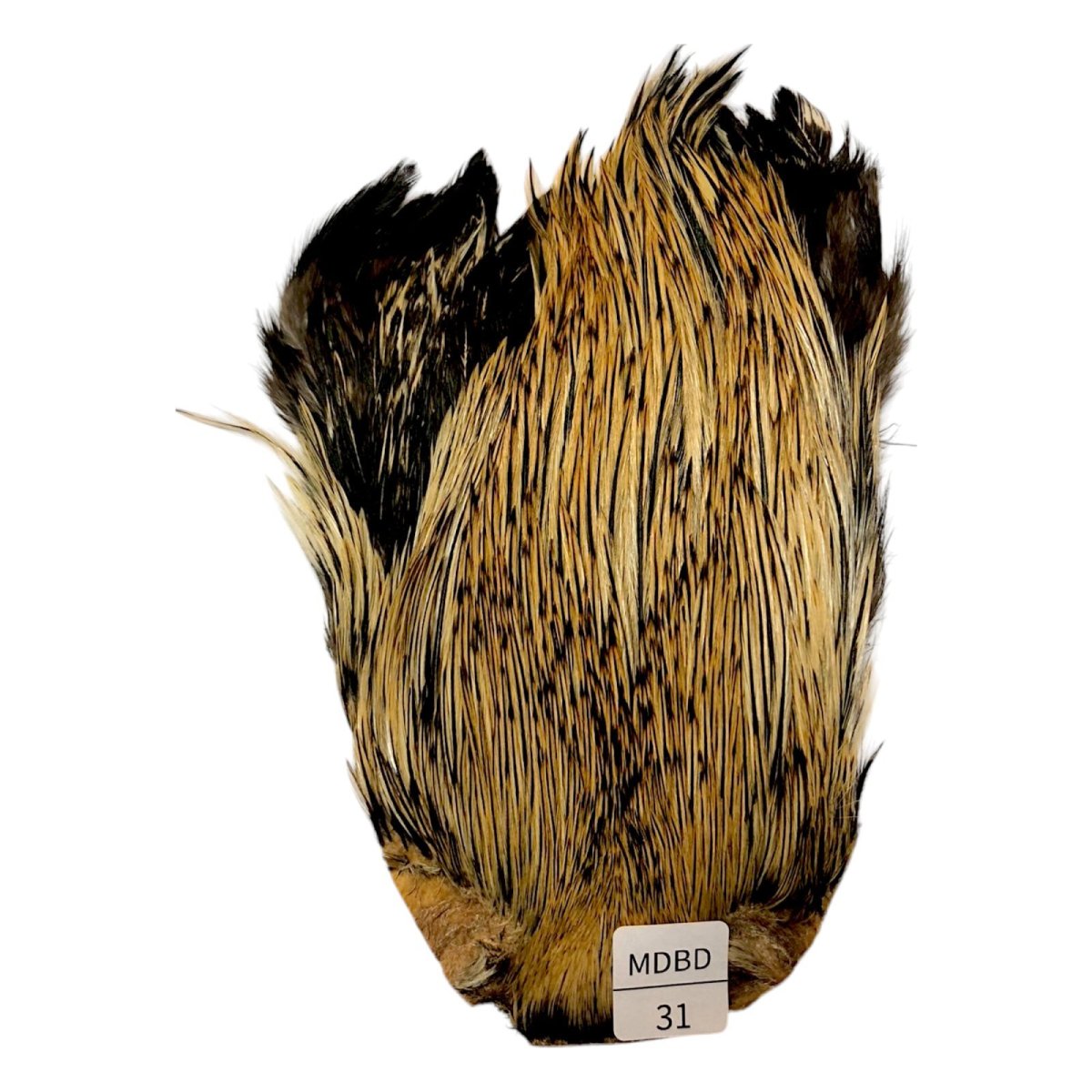 画像1: インドコックケープ India Cock Neck Cape　　ミディアムバジャー　NO31 (1)