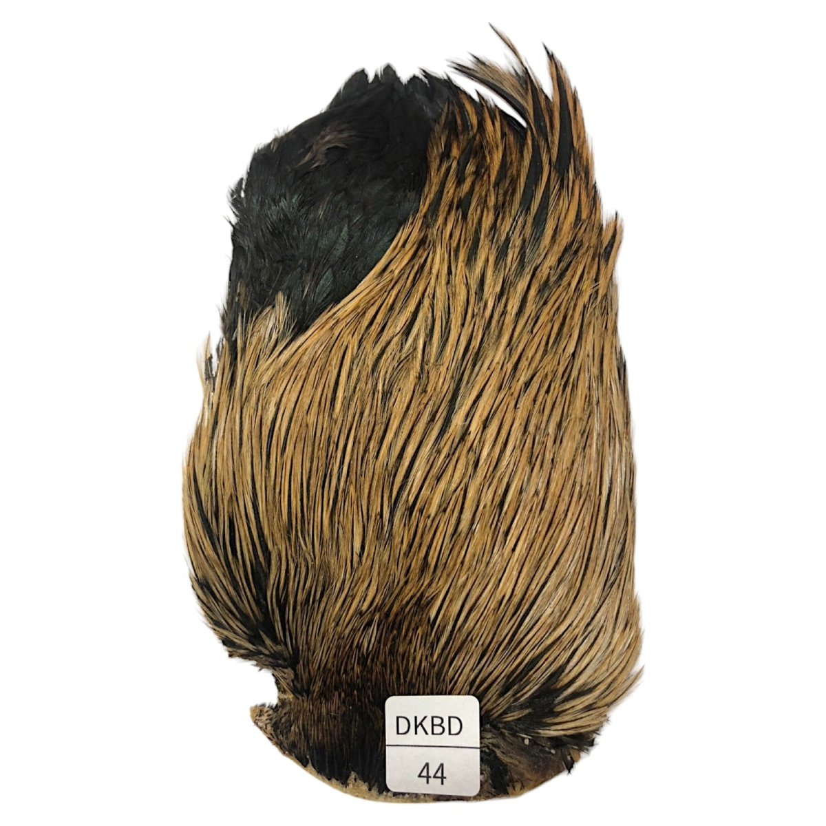 画像1: インドコックケープ India Cock Neck Cape　　ダークバジャー　NO44 (1)