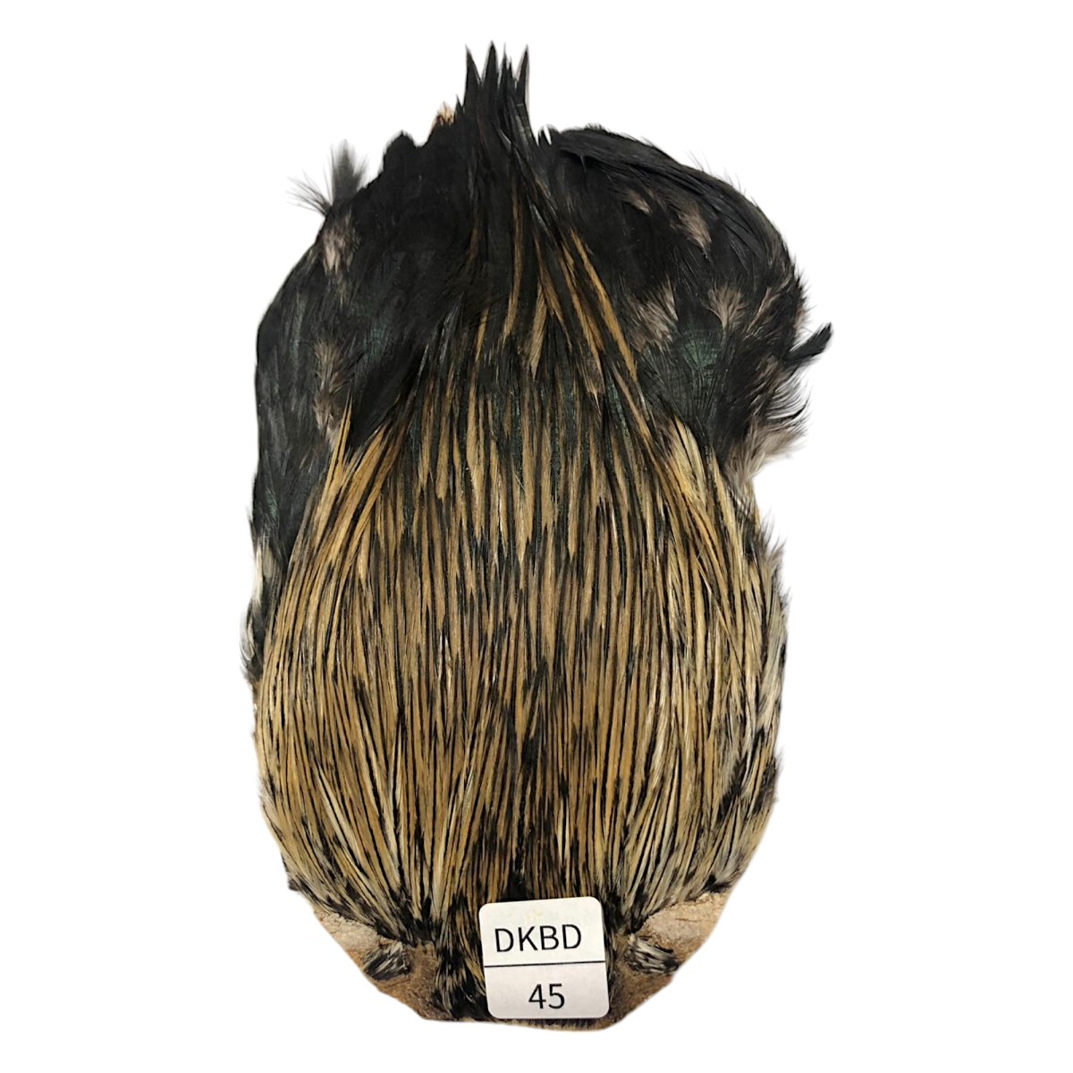 画像1: インドコックケープ India Cock Neck Cape　　ダークバジャー　NO45 (1)