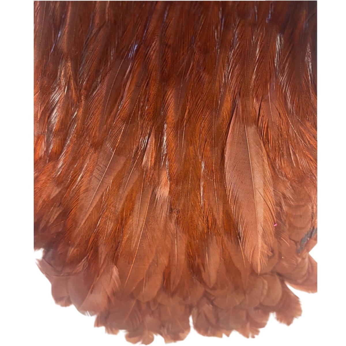 画像3: HARELINE ヘアライン ヘンケープ ブラウン (3)