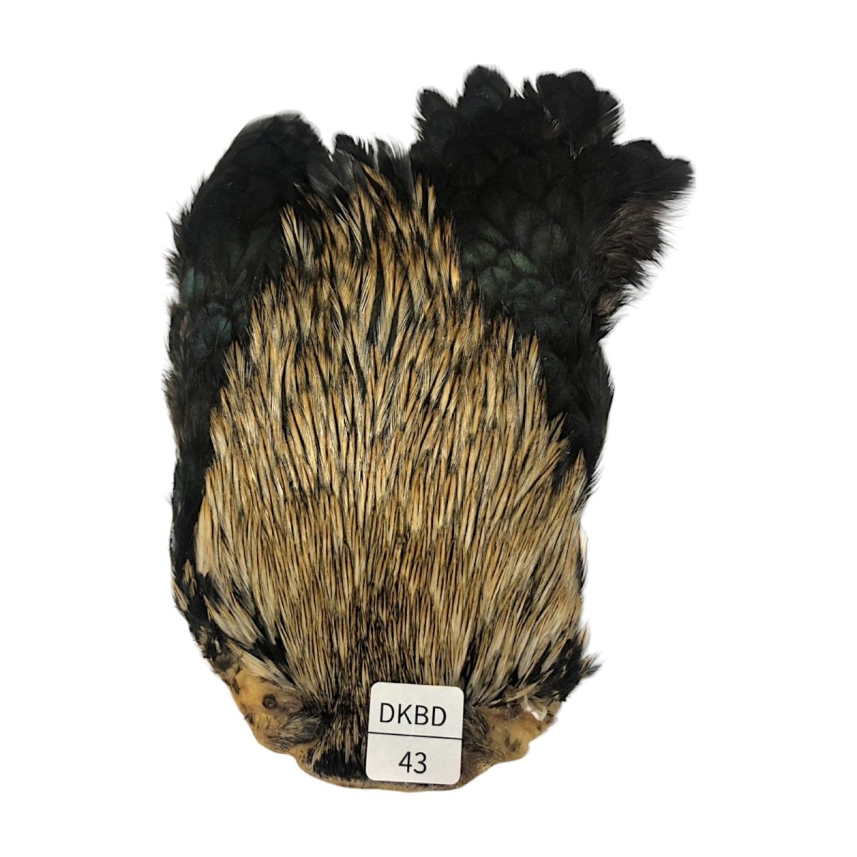 画像1: インドコックケープ India Cock Neck Cape　　ダークバジャー　NO43 (1)
