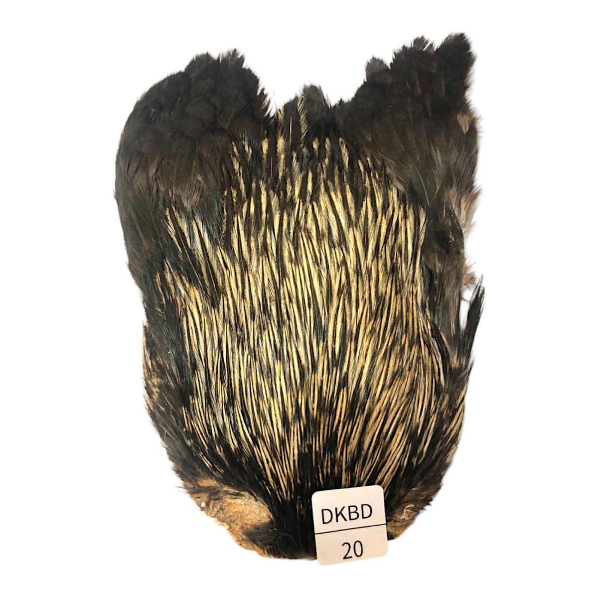 画像1: インドコックケープ India Cock Neck Cape　　ダークバジャー　NO20 (1)