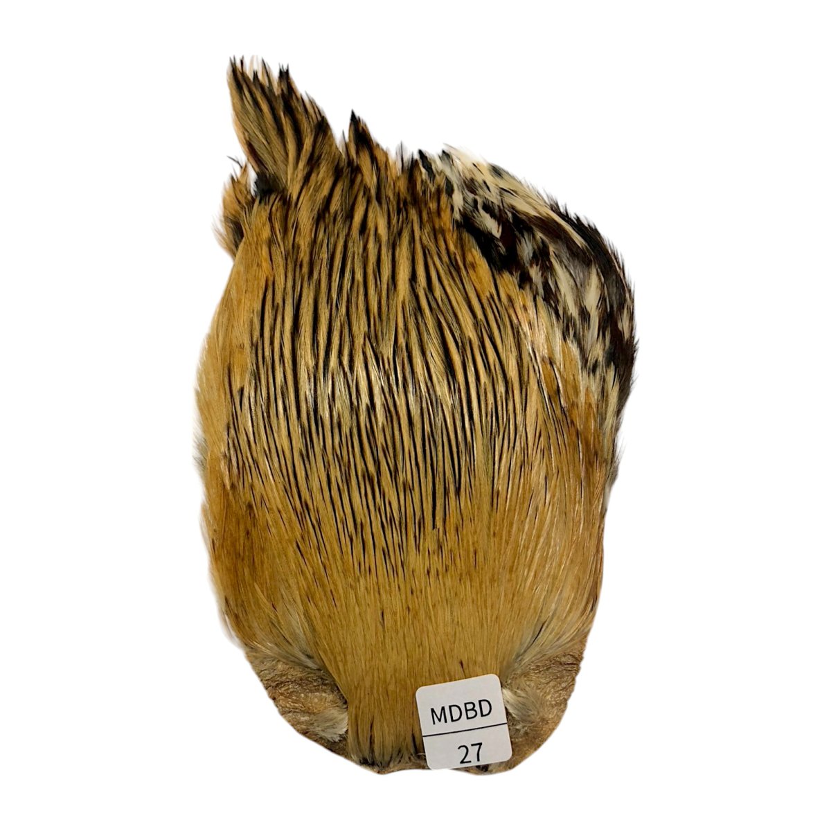 画像1: インドコックケープ India Cock Neck Cape　　ミディアムバジャー　NO27 (1)
