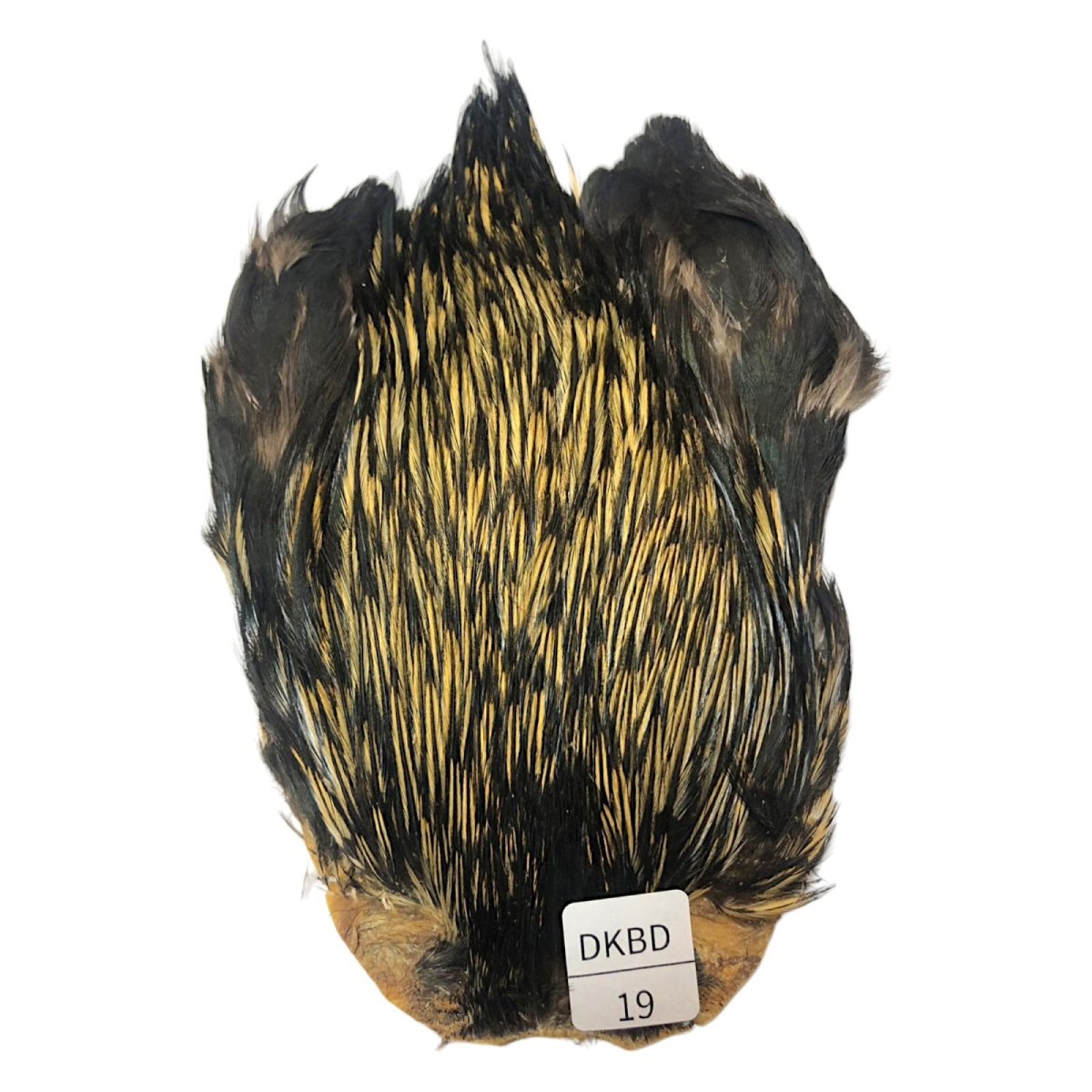 画像1: インドコックケープ India Cock Neck Cape　　ダークバジャー　NO19 (1)