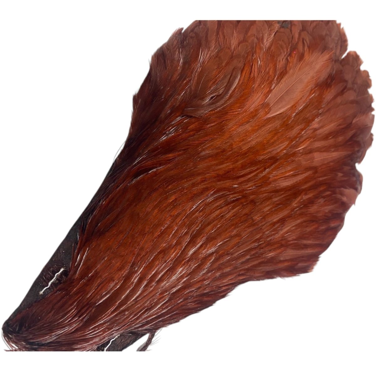 画像5: HARELINE ヘアライン ヘンケープ ブラウン (5)