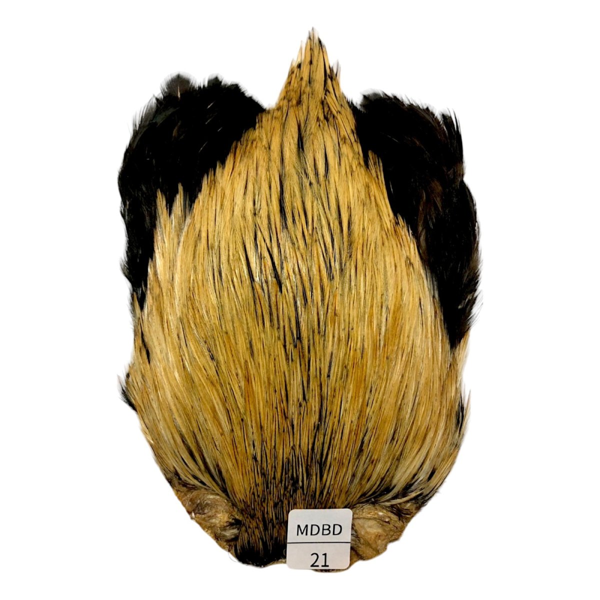 画像1: インドコックケープ India Cock Neck Cape　　ミディアムバジャー　NO21 (1)