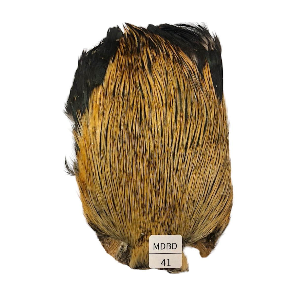 画像1: インドコックケープ India Cock Neck Cape　　ミディアムバジャー　NO41 (1)