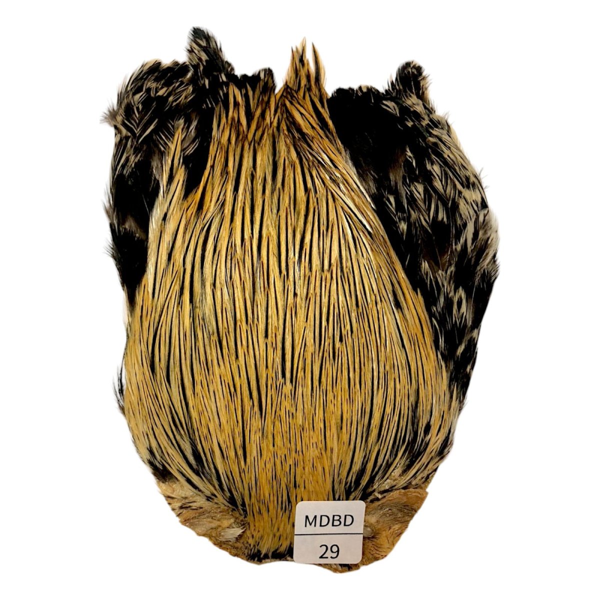 画像1: インドコックケープ India Cock Neck Cape　　ミディアムバジャー　NO29 (1)
